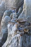 0080-3B9A2879-Hoodoo in Ha Ho No Geh Canyon.jpg