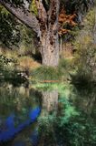05-3B9A9459-Reflections along Fossil Creek.jpg