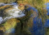 010-3B9A9621-Creek Reflections of Fall.jpg