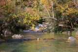 011-3B9A9213-Autumn in Northern Arizona.jpg