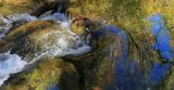 016-3B9A9592-Creek Reflections of Autumn.jpg