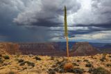 008-3B9A3253-Monsoon Storm over the Grand Canyon.jpg