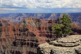 0045-3B9A3661-Grand Canyon North Rim Views.jpg