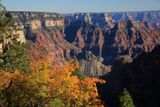 0050-3B9A5092-Grand Canyon North Rim Views from the Widforss Trail in Autumn.jpg