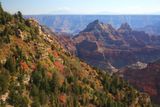 0060-3B9A5482-Grand Canyon North Rim Views from the Transept Trail.jpg