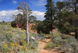 031-3B9A2035-The Ridge Trail behind Winsor Castle, Pipe Spring National Monument.jpg