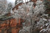 03-3B9A8456-Oak Creek Canyon in Winter.jpg