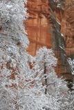 09-3B9A7659-Winter Views in Oak Creek Canyon.jpg