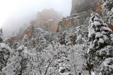 011-3B9A8001-West Fork Winter Views.jpg