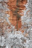 012-3B9A8365-Winter Views in Oak Creek Canyon.jpg