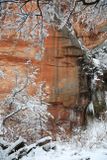 013-3B9A7801-Oak Creek Canyon Winter Views.jpg