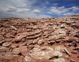 007-3B9A8975-Ice Cream Rocks, Petrified Forest National Park.jpg