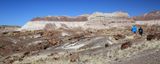 0023-3B9A8837-Enjoying the Long Logs Trail, Petrified Forest National Park.jpg