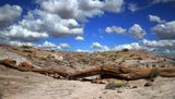 0071-3B9A2798-Onyx Bridge, Painted Desert.jpg