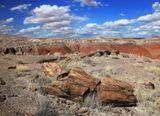0081-3B9A2970-Views of the Painted Desert & Petrified Forest.jpg