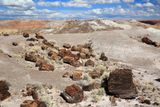 0084-3B9A3160-Painted Desert & Petrified Forest Views.jpg