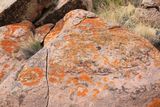 00104-3B9A8323-Colorful Lichens in the Petrified National Forest National Park.jpg