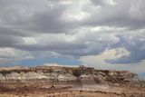 00117-3B9A0719-Spectacular Petrified Forest Views from the Jasper Forest Overlook.jpg