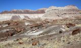00143-3B9A8828-Beautiful Painted Desert Views along the Long Logs Trail.jpg