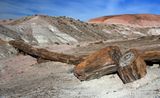 00146-3B9A9023-Onyx Bridge, Painted Desert-Petrified Forest National Park.jpg