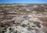 00154-3B9A1028-Jasper Forest Overlook Views of the Painted Desert, Petrified Forest National Park-.jpg