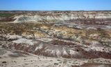 00162-3B9A1025-Painted Desert Views from the Jasper Forest Overlook, Petrified Forest National Park-.jpg