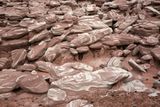 00165-3B9A8915-Ice Cream Rocks, Petrified Forest National Park.jpg