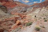 003-3B9A7618-Hiking in the Vermilion Cliffs National Monument.jpg