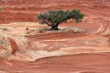 #07-3B9A6649-White Pocket Landscape.jpg