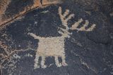 00121-3B9A6286-Petroglyph at the Agua Fria National Monument.jpg