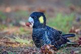 DSC_6864.jpg