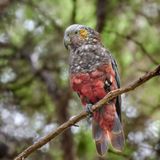 DSC_9528.jpg