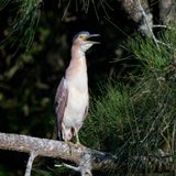 BZ9_7084.jpg