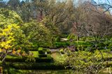 Jardim Botnico<br> da Universidade de Coimbra
