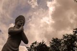 Bacalha Buddha Eden <br> em 25 de abril de 2009
