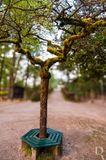 Parque Florestal de Amarante