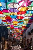 Agitagueda <br> Os Chapus-de-Chuva Coloridos