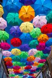 Agitagueda <br> Os Chapus-de-Chuva Coloridos