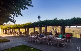 Glicnia (rvore de Interesse Pblico)