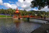 Bacalha Buddha Eden <br> em 10 de maio de 2025
