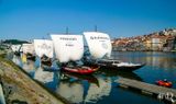 The Port Wine Boats