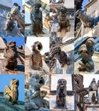 Grgulas da Batalha