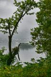 Fog along the Susquehanna