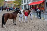 DSC01684.jpg