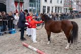 DSC07169.jpg
