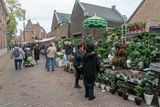 DSC07093.jpg