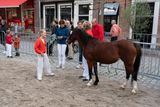 DSC07116.jpg