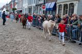 DSC07133.jpg