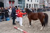 DSC07169.jpg