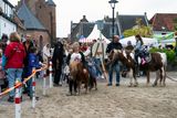 DSC07222.jpg
